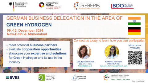 GREEN HYDROGEN INDUSTRY_2024